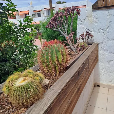 Apartment El Chaparral Poolview Ground Floor Arona (Tenerife)